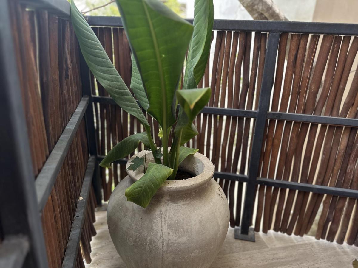 Ophelia Tulum Condo In Aldea Zama Екстер'єр фото