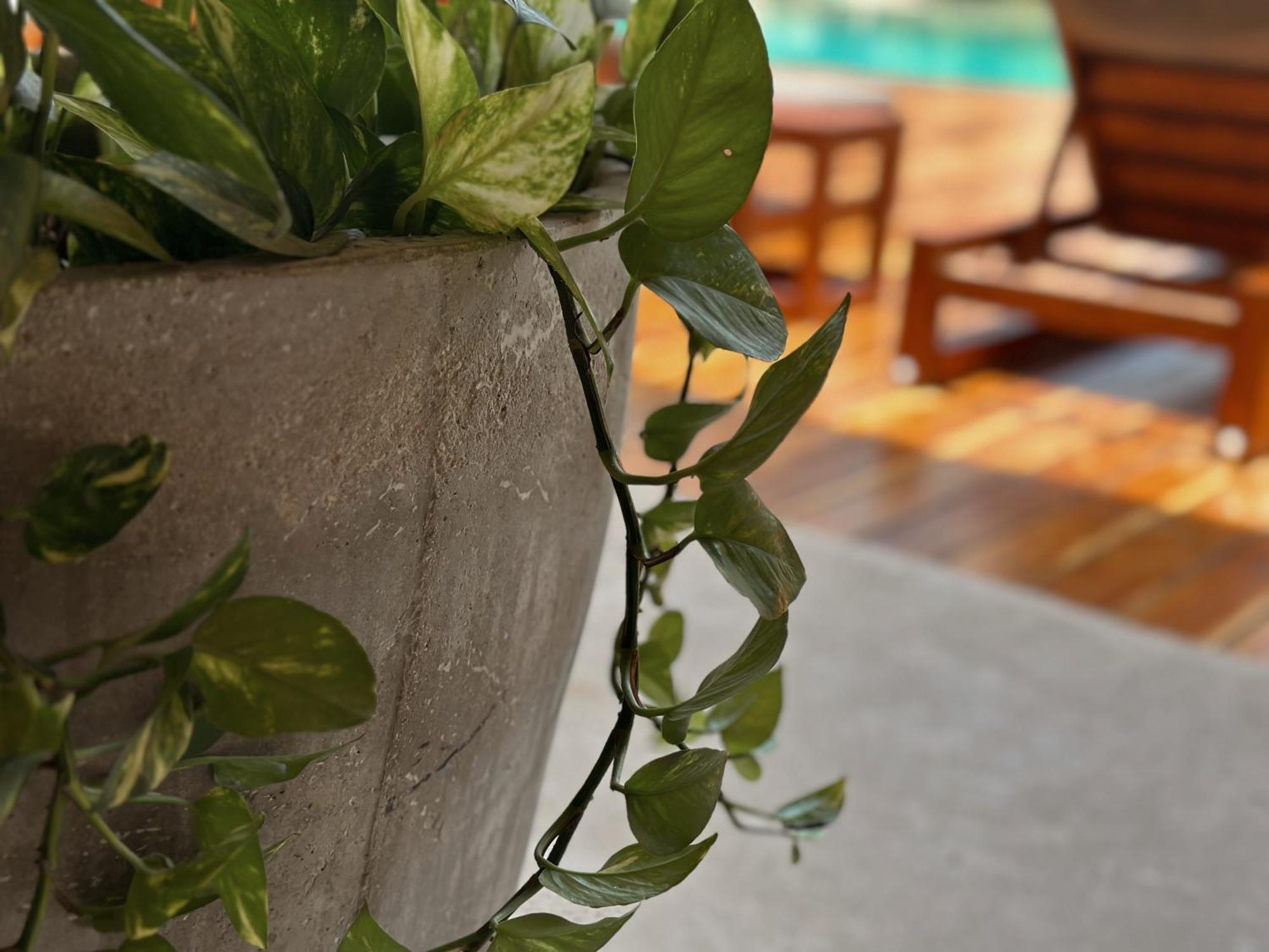 Ophelia Tulum Condo In Aldea Zama Екстер'єр фото