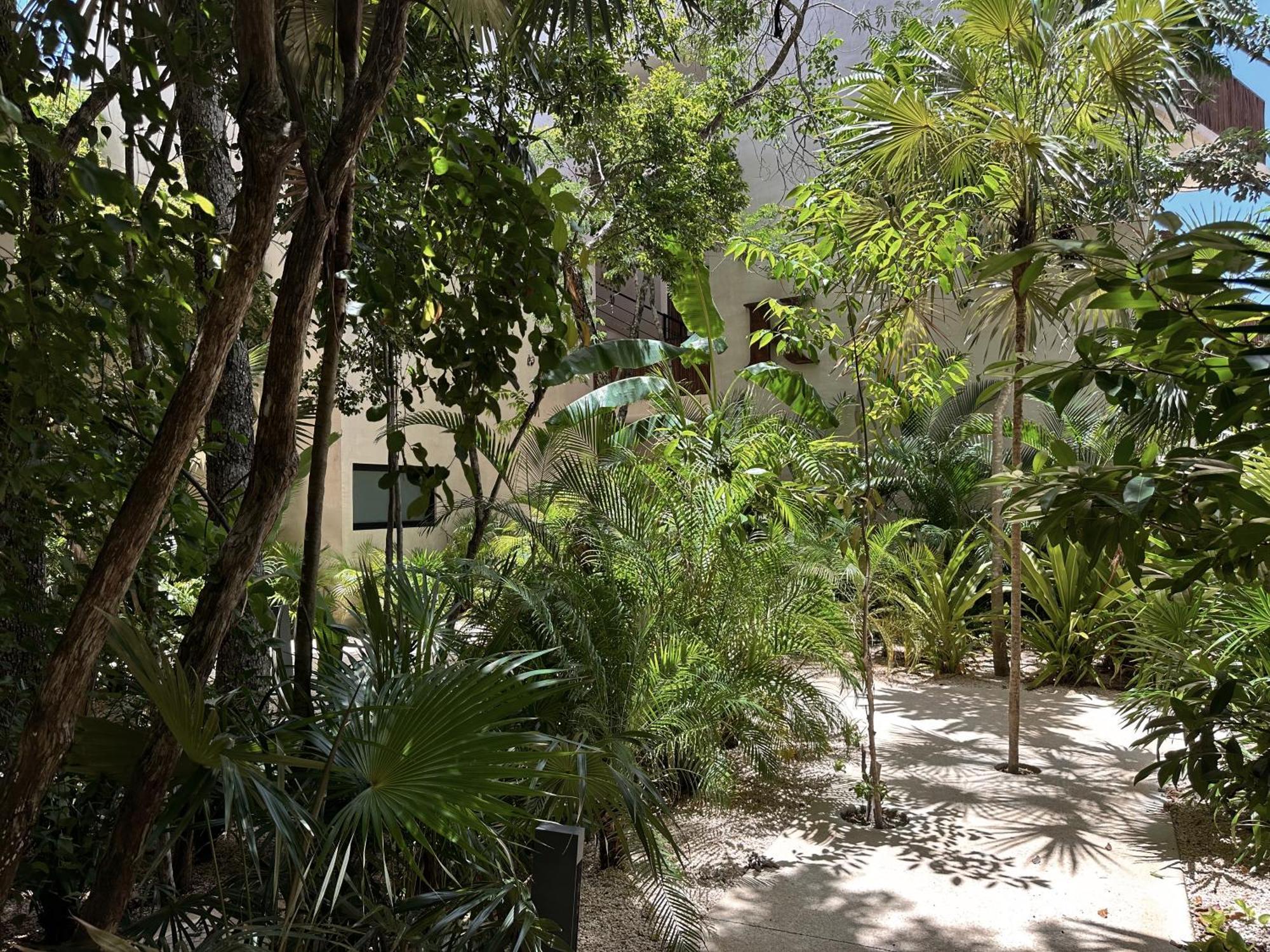Ophelia Tulum Condo In Aldea Zama Екстер'єр фото