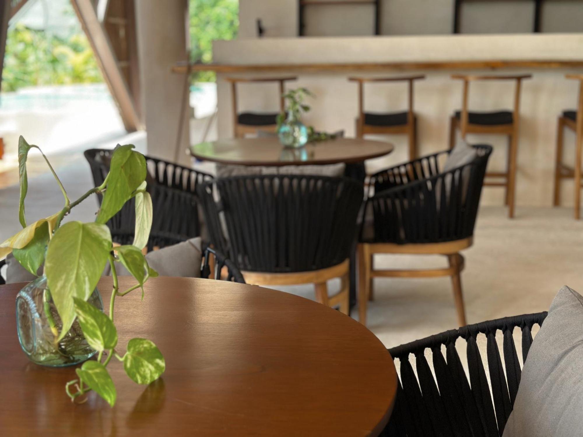 Ophelia Tulum Condo In Aldea Zama Екстер'єр фото